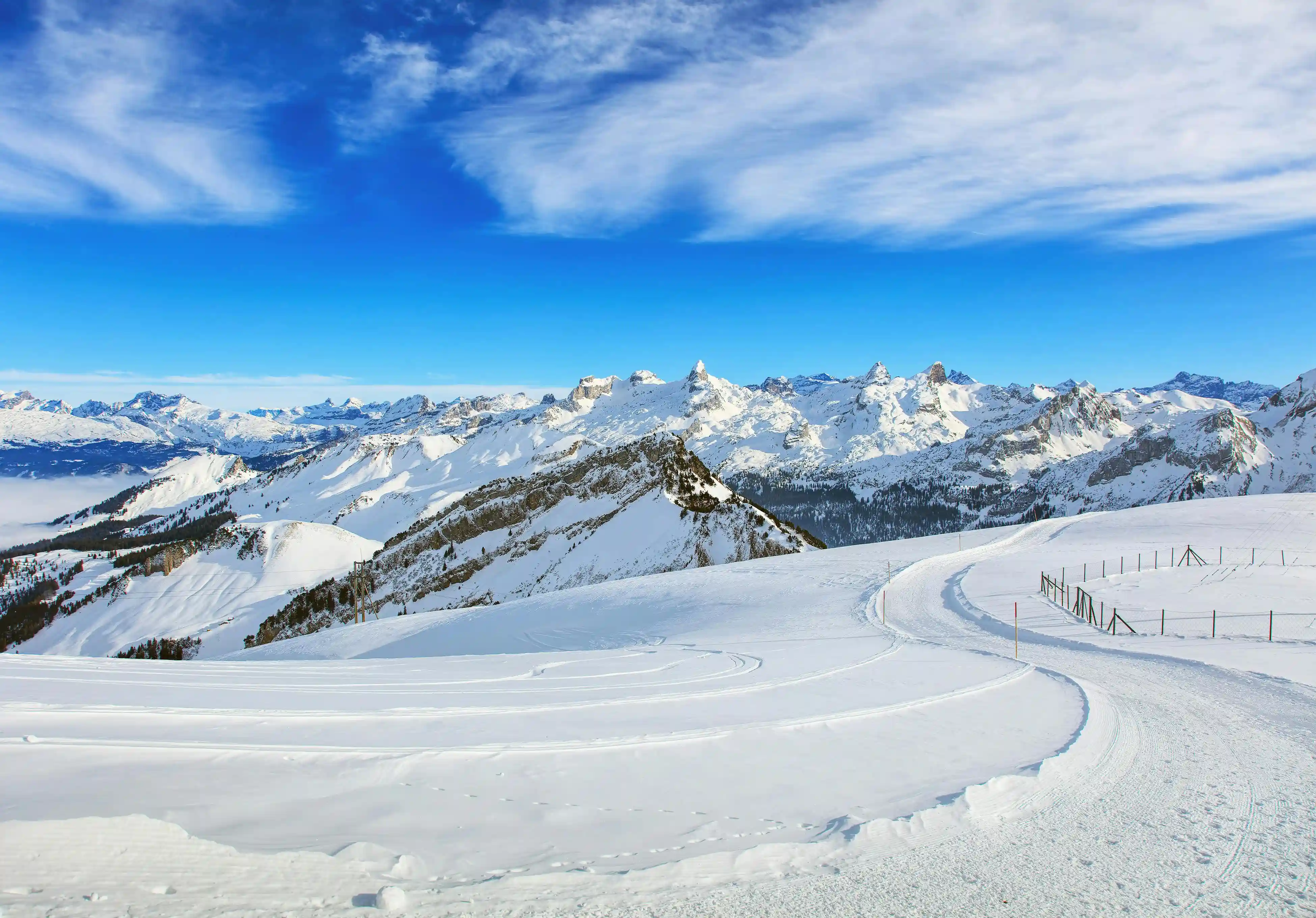 Discover the world through our expert vision.
