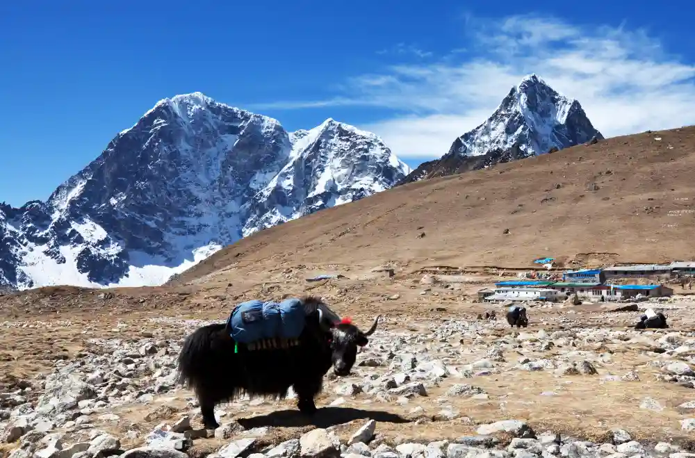 Muktinath Helicopter Tour- 3 hours